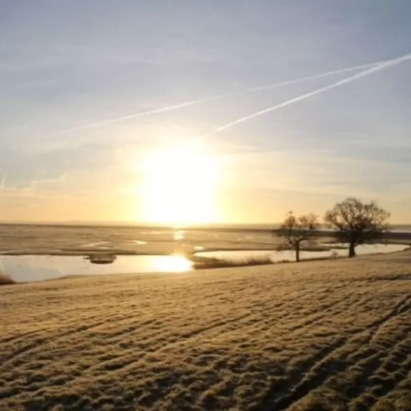 Elmley